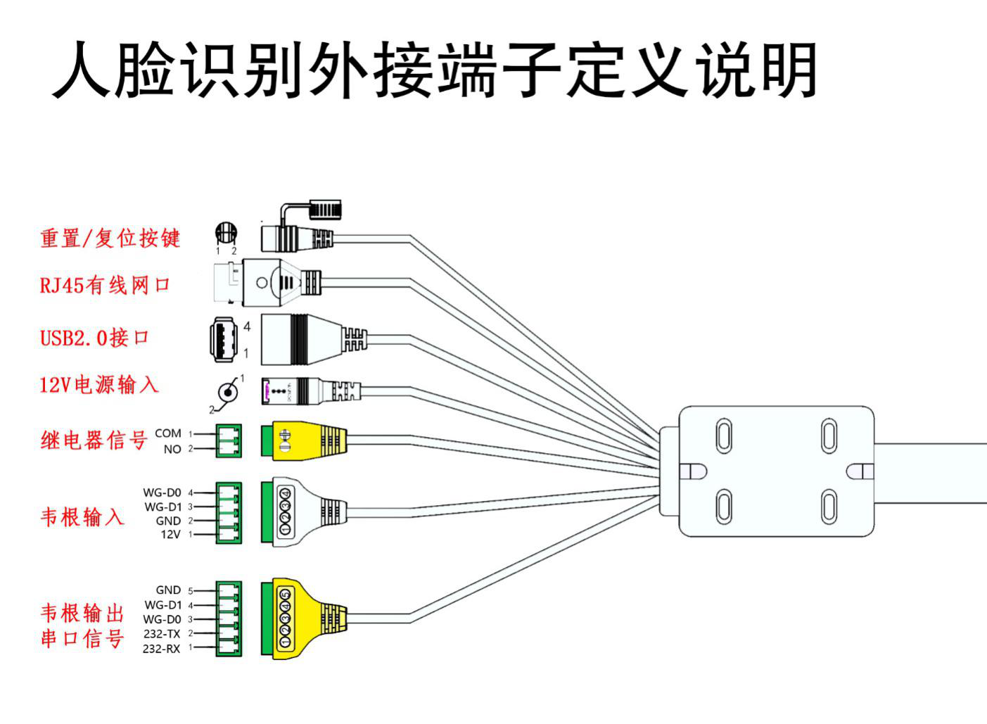 雷竞技ray登陆JYJ100體(ti) 溫人臉識別智能終端接線圖